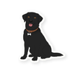 Sookie Boys of Tommen Sticker